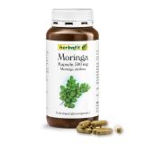 Moringa-Kapseln 500 mg - Moringa oleifera